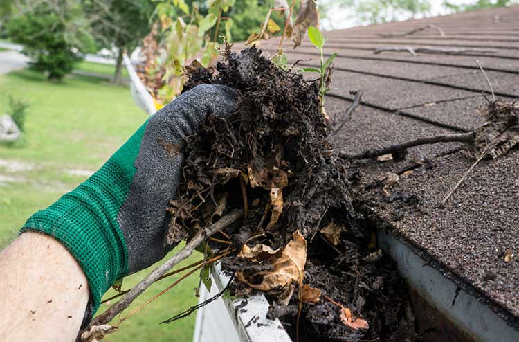 Gutter Cleaning Putnam County NY