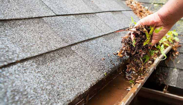 Putnam County Gutter Cleaning Services